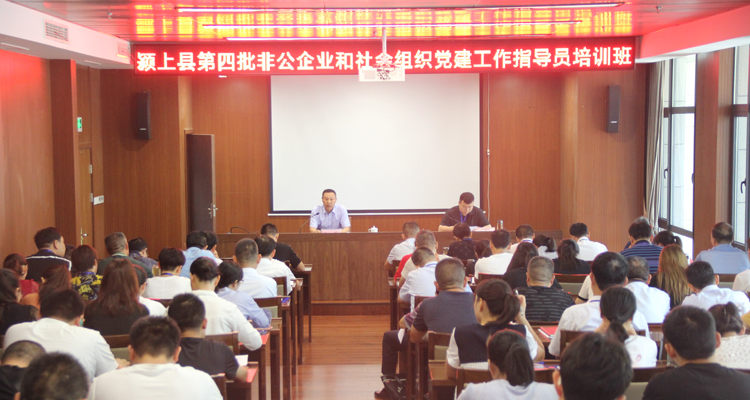 颍上县召开第四批非公企业和社会组织党建工作指导员培训班
